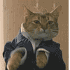 CatGeneral
